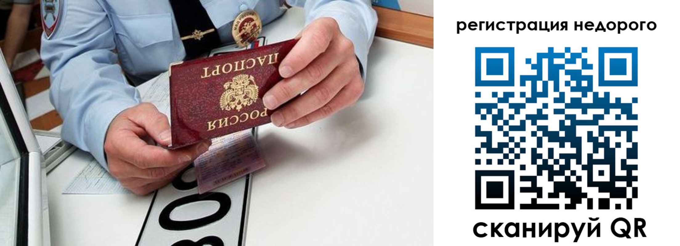 прописка ребенка в Жукове